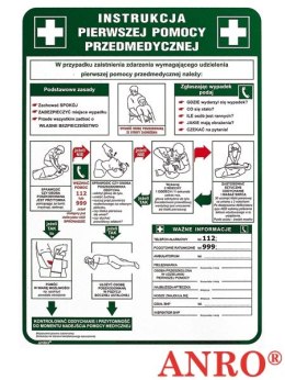 Tabliczka INSTRUKCJA UDZIELANIA PIERWSZEJ POMOCY PRZEDMEDYCZNEJ 250x350 PŁYTA PCV ZZ-IB13 ANRO