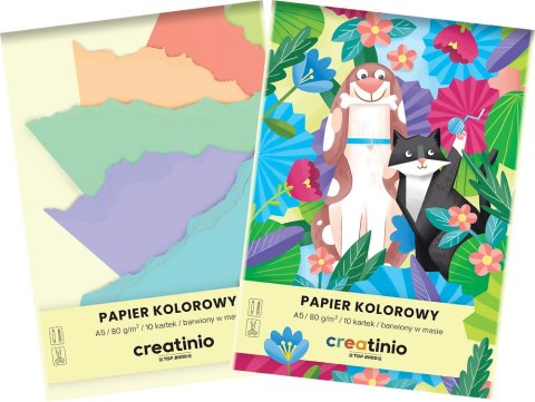 PAPIER KOLOROWY TOP 2000 CREATINIO A5 10K 80G 400176683