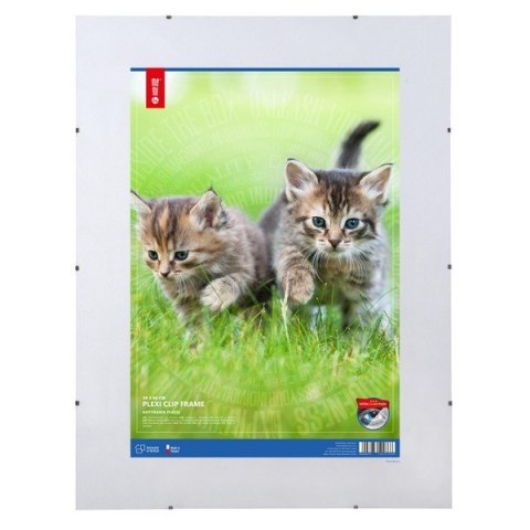 Antyrama plexi 500x600mmm ANP50x60 MEMOBOARDS