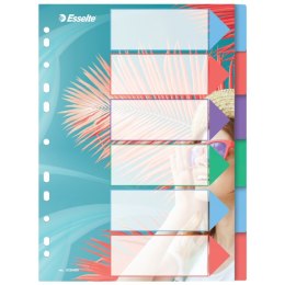 Przekładki ColourBreeze PP A4, 6 przekładek Esselte 628499