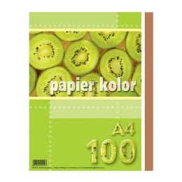 Papier xero A4 brązowy (100 arkuszy) KRESKA