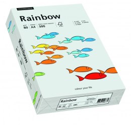 Papier xero kolorowy RAINBOW jasnoszary R93 88042783